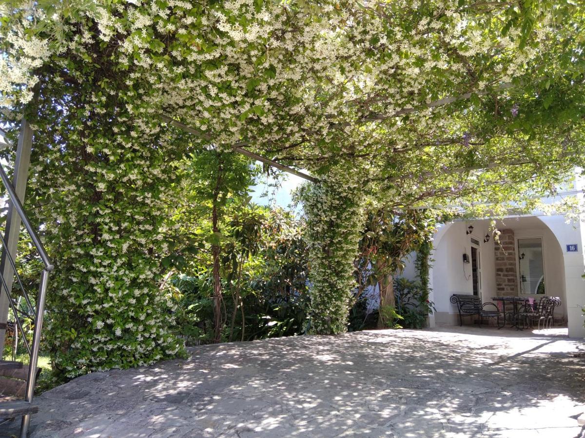 Apartments Simovic Tivat Buitenkant foto